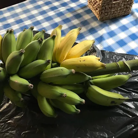 Vitorina Corte ベッド・アンド・ブレックファスト