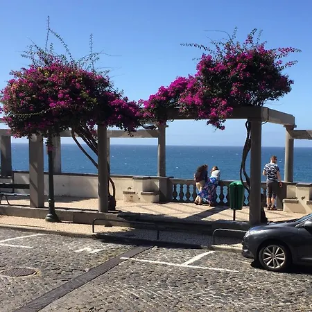 Vitorina Corte フンシャル