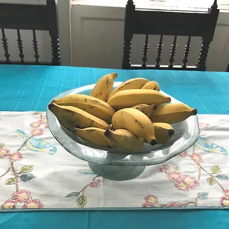 B&B Vitorina Corte 푼샬