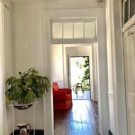 Vitorina Corte 푼샬