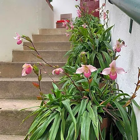 Bed and Breakfast Vitorina Corte
