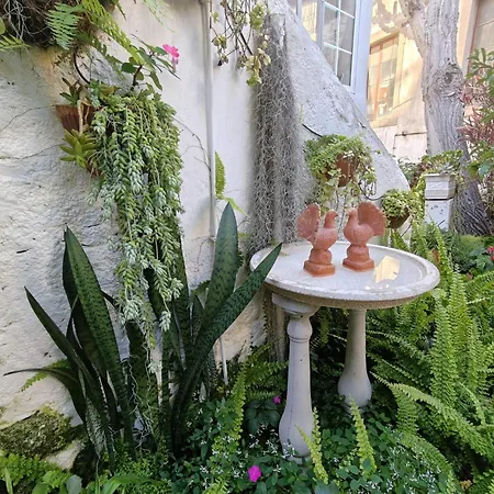 Vitorina Corte Alojamento de Acomodação e Pequeno-almoço Funchal (Madeira)