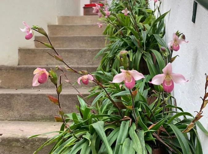 维托利亚科尔特宾馆