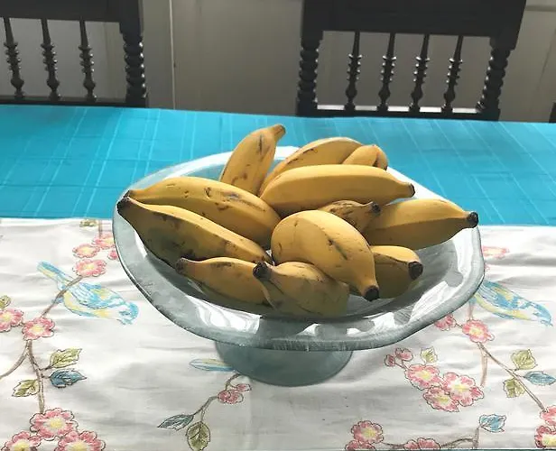 住宿加早餐酒店 维托利亚科尔特宾馆 丰沙尔