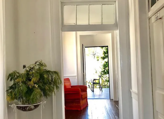 维托利亚科尔特宾馆 丰沙尔