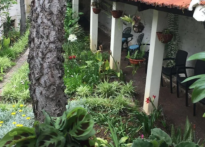 维托利亚科尔特宾馆 2*